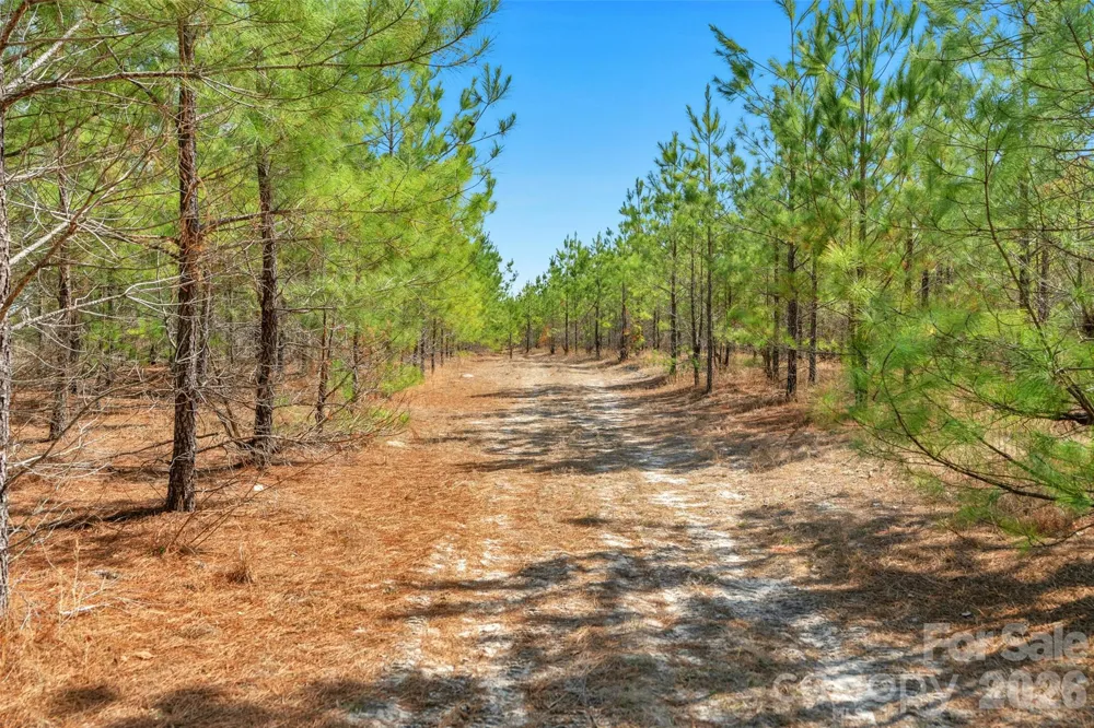 931 Charlie Johnson Road #2 Kershaw, SC 29067