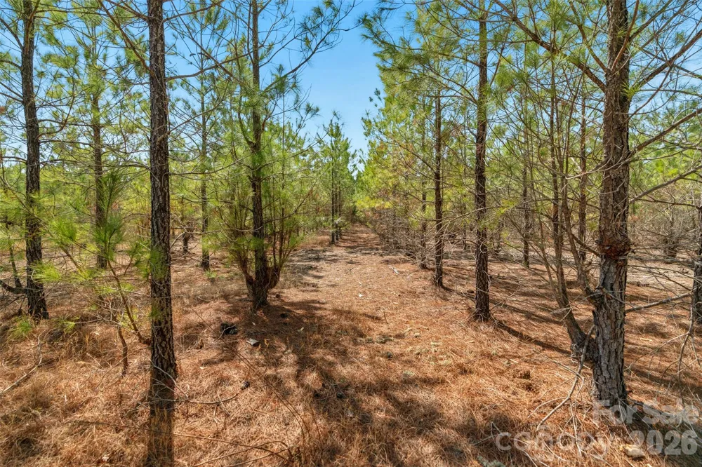 931 Charlie Johnson Road #2 Kershaw, SC 29067