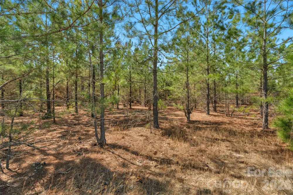 931 Charlie Johnson Road #2 Kershaw, SC 29067