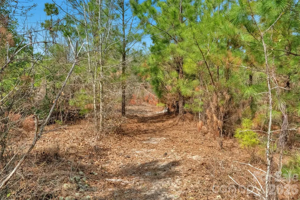 931 Charlie Johnson Road #2 Kershaw, SC 29067