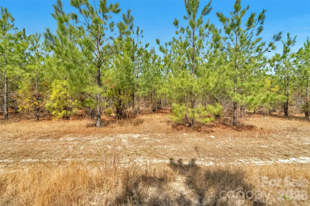 931 Charlie Johnson Road #2 Kershaw, SC 29067