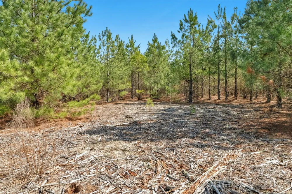 931 Charlie Johnson Road #2 Kershaw, SC 29067