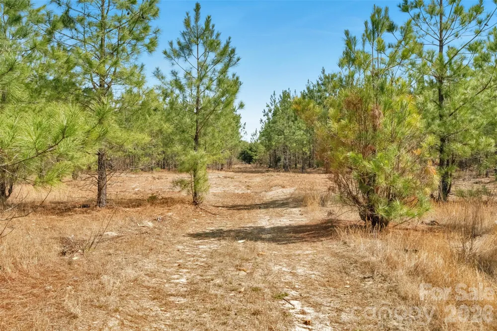931 Charlie Johnson Road #2 Kershaw, SC 29067