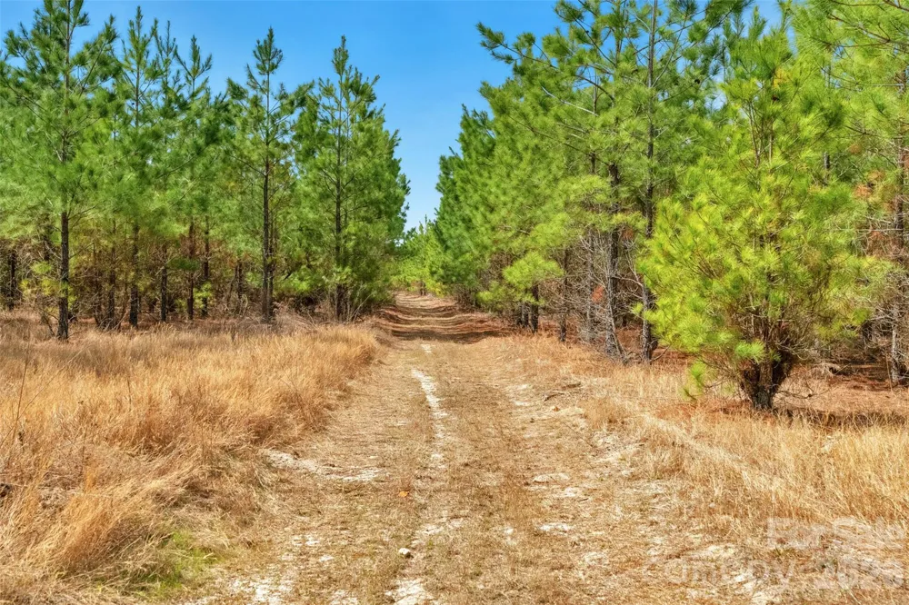 931 Charlie Johnson Road #2 Kershaw, SC 29067