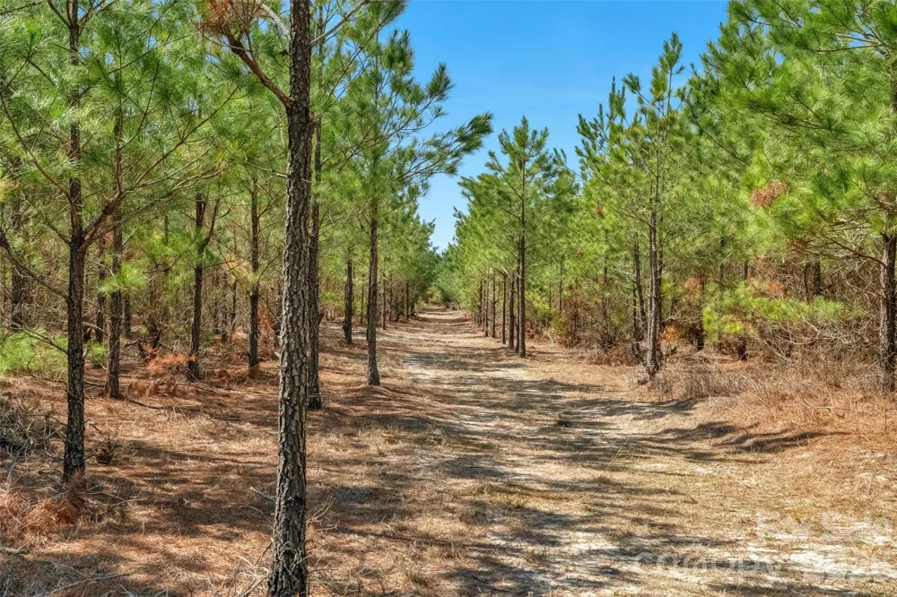 931 Charlie Johnson Road #2 Kershaw, SC 29067