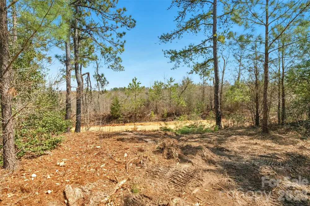 931 Charlie Johnson Road #2 Kershaw, SC 29067