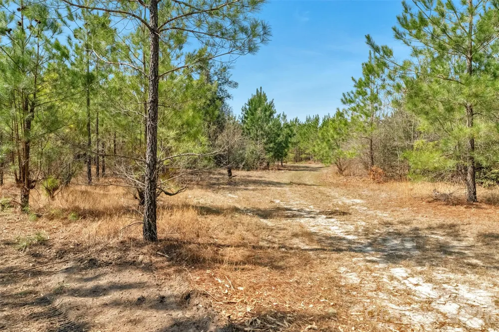 931 Charlie Johnson Road #2 Kershaw, SC 29067