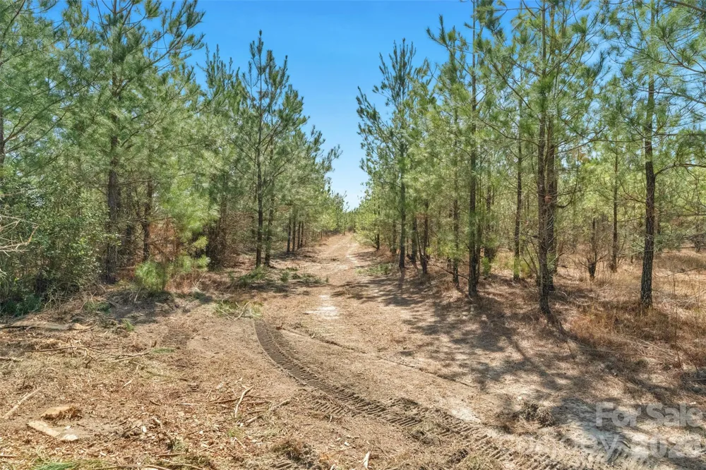 931 Charlie Johnson Road #2 Kershaw, SC 29067