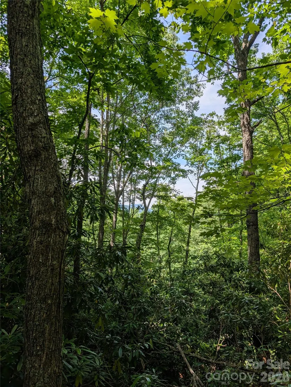 000 Pisgah Highway Candler, NC 28715