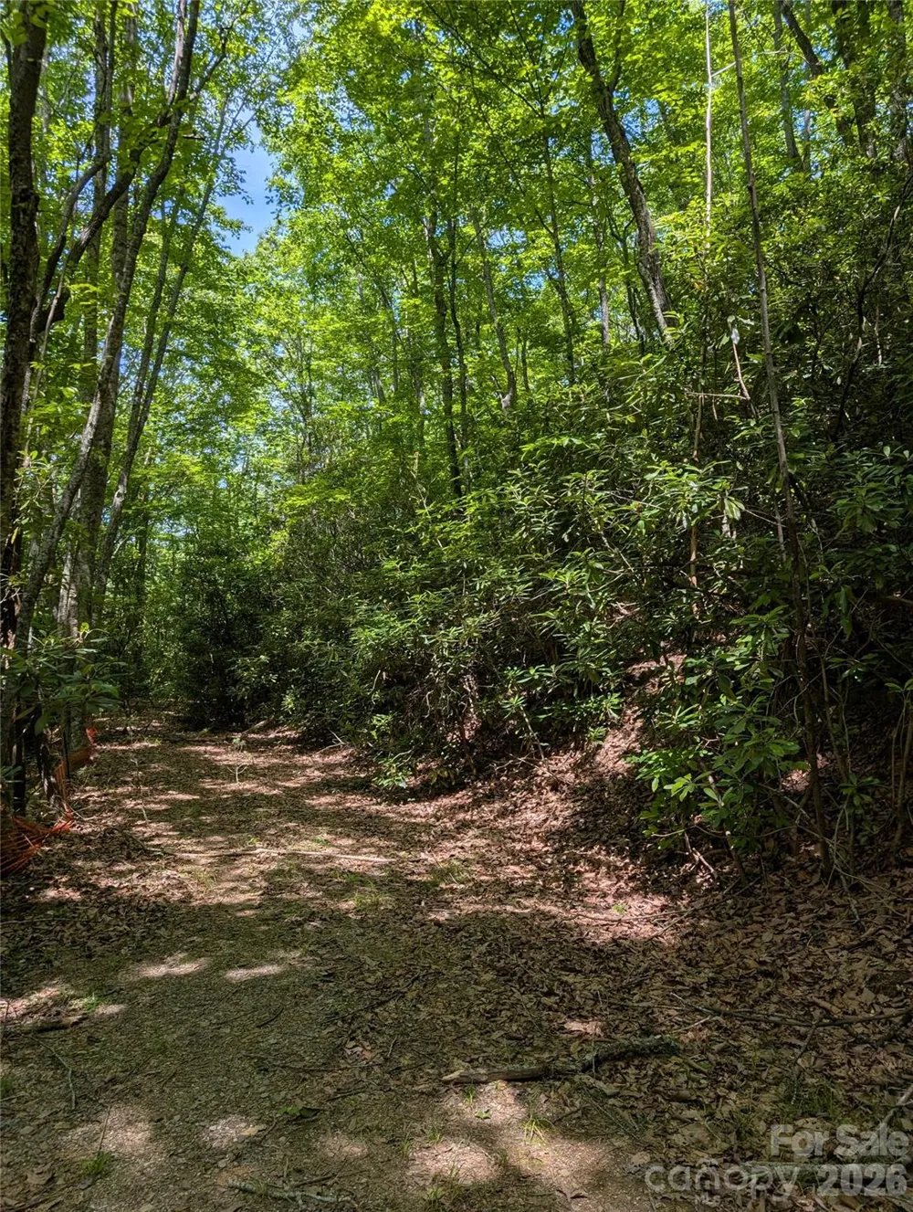 000 Pisgah Highway Candler, NC 28715
