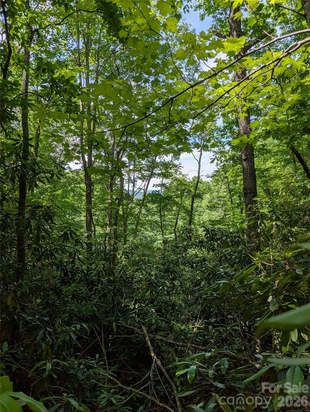 000 Pisgah Highway Candler, NC 28715
