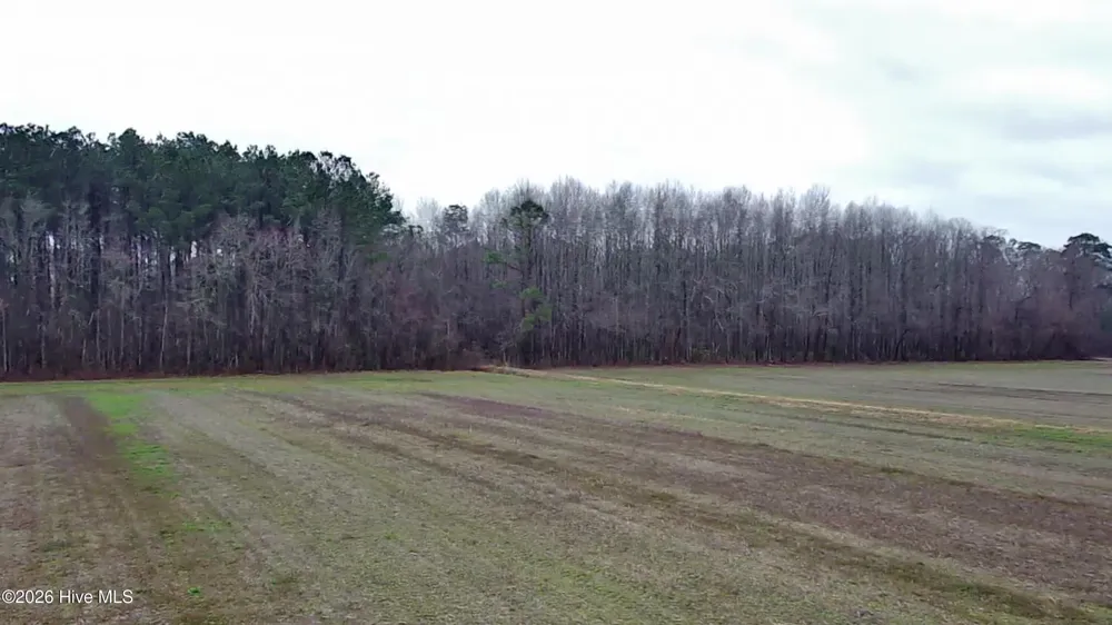 269 Creek Road Bath, NC 27808