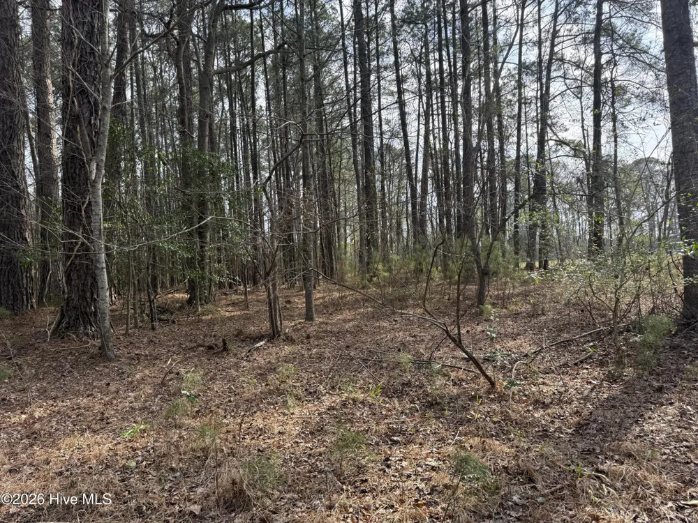 269 Creek Road Bath, NC 27808