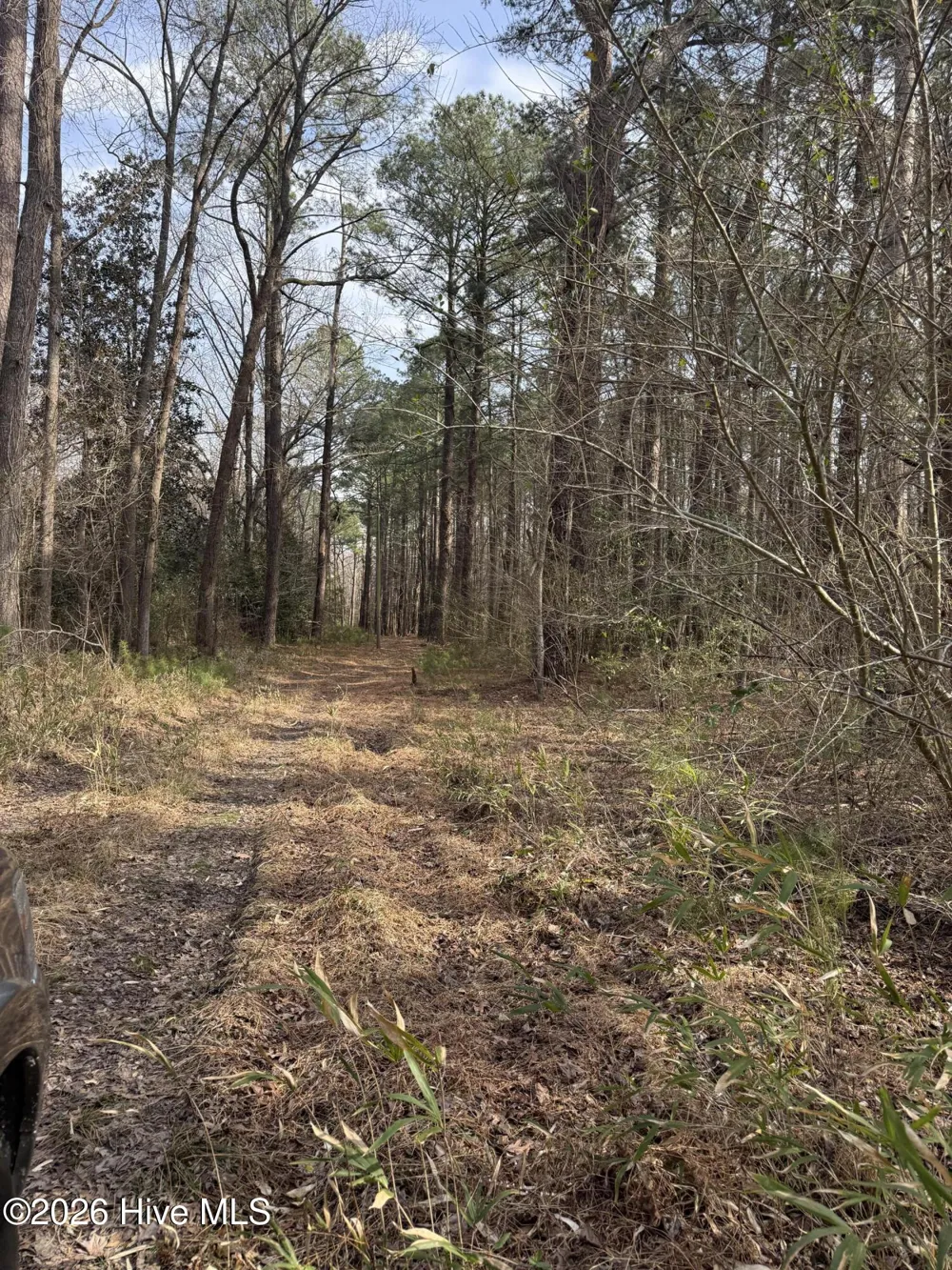 269 Creek Road Bath, NC 27808