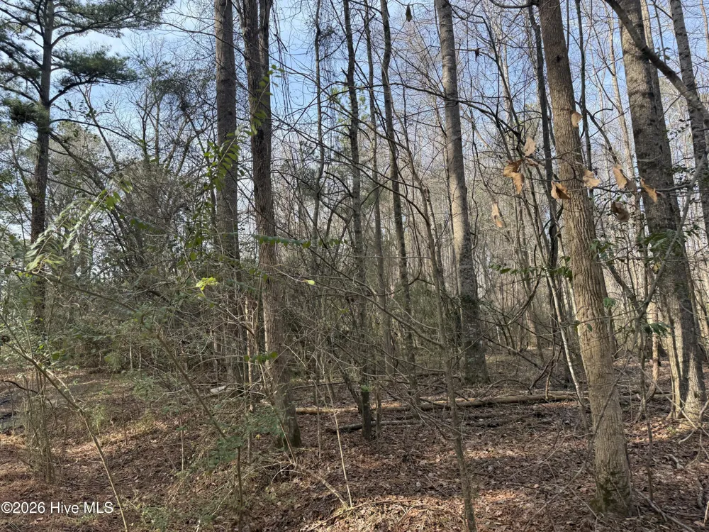 269 Creek Road Bath, NC 27808