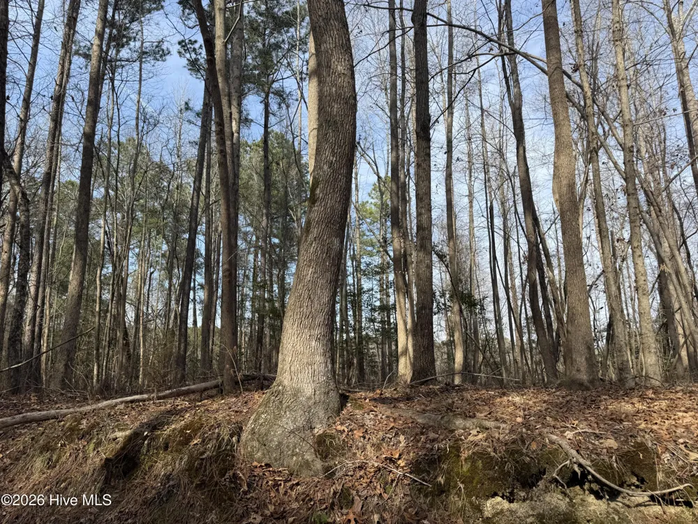 269 Creek Road Bath, NC 27808