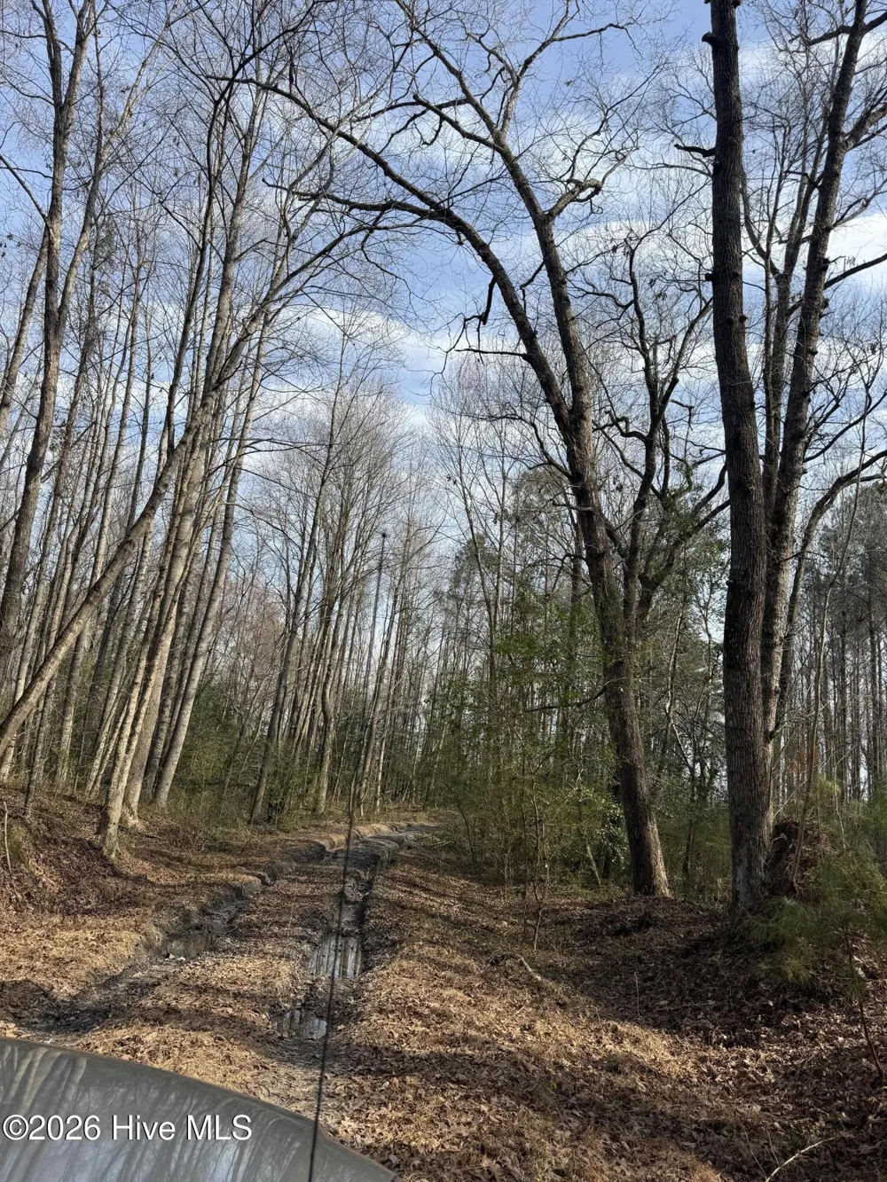 269 Creek Road Bath, NC 27808