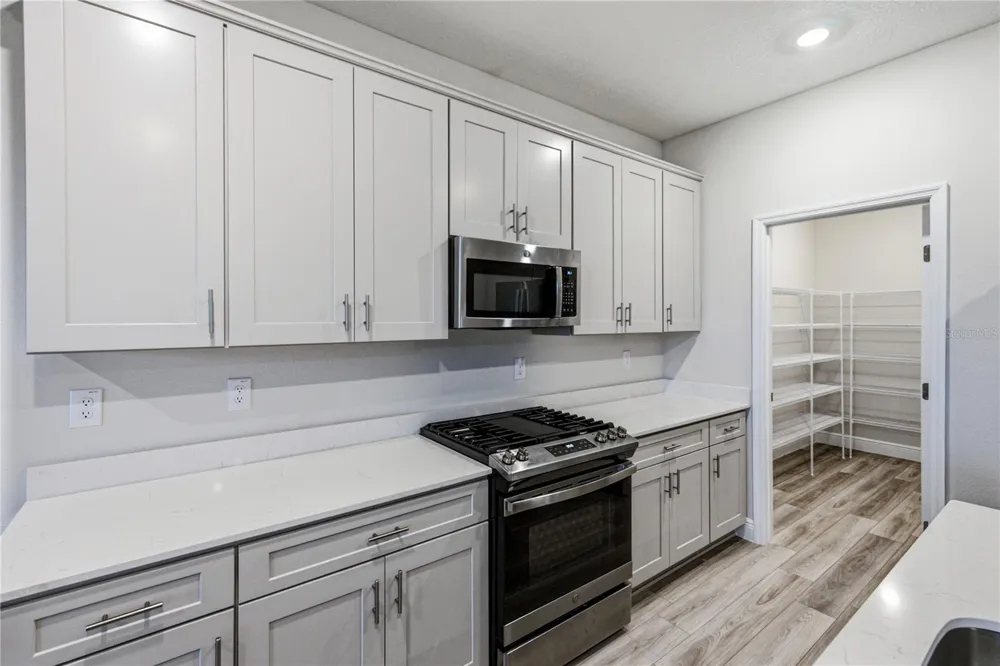 12253 CATTLESIDE DRIVE Riverview, FL 33579