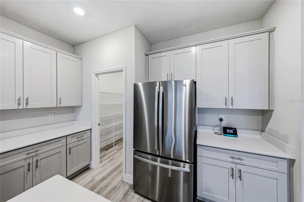 12253 CATTLESIDE DRIVE Riverview, FL 33579