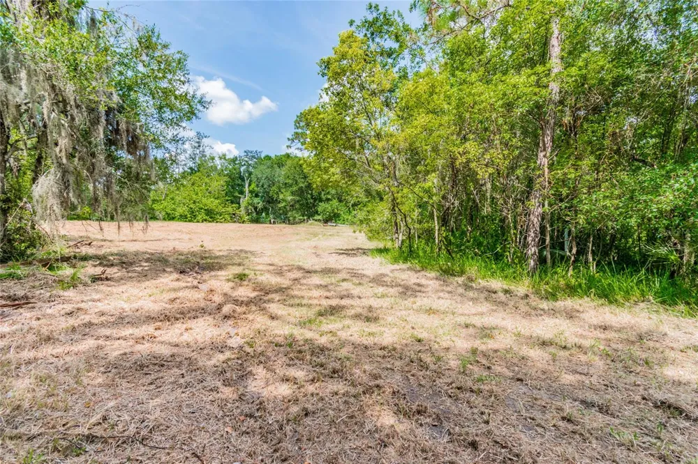 1758 LAND O LAKES BOULEVARD Lutz, FL 33549