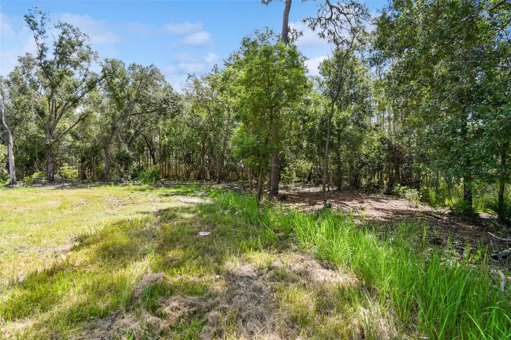 1758 LAND O LAKES BOULEVARD Lutz, FL 33549