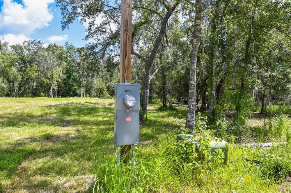 1758 LAND O LAKES BOULEVARD Lutz, FL 33549