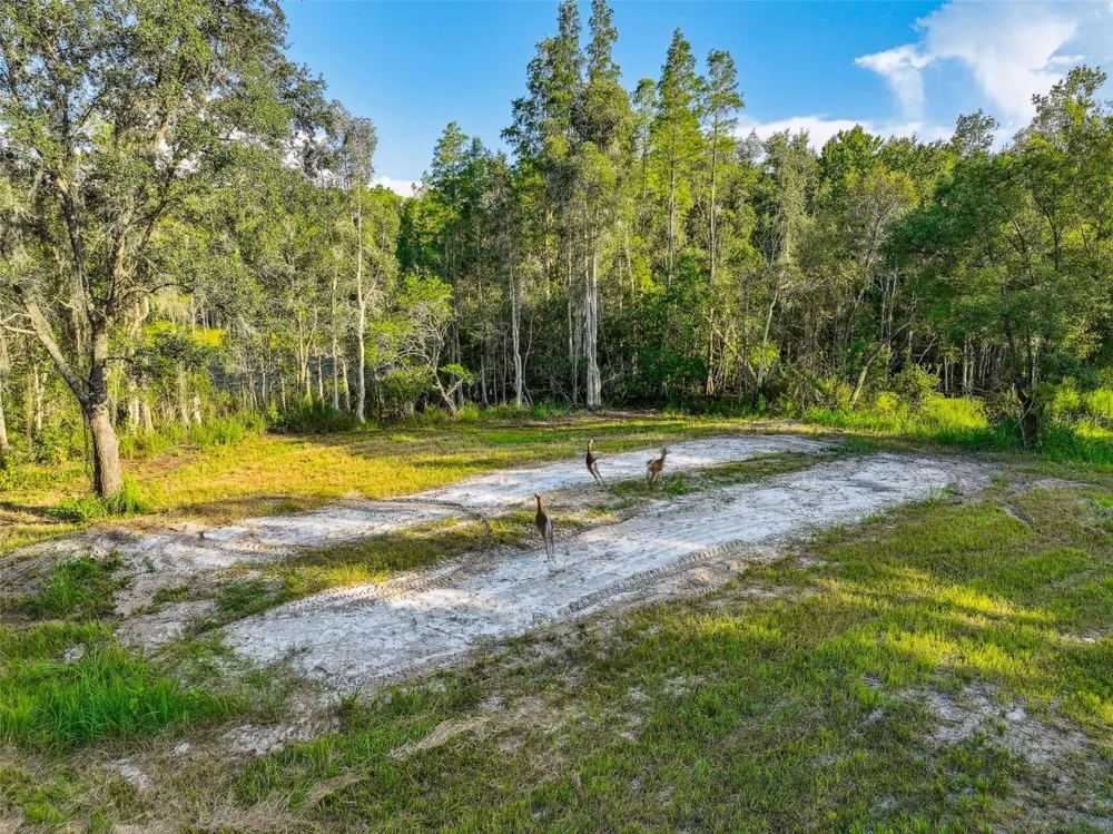 1758 LAND O LAKES BOULEVARD Lutz, FL 33549