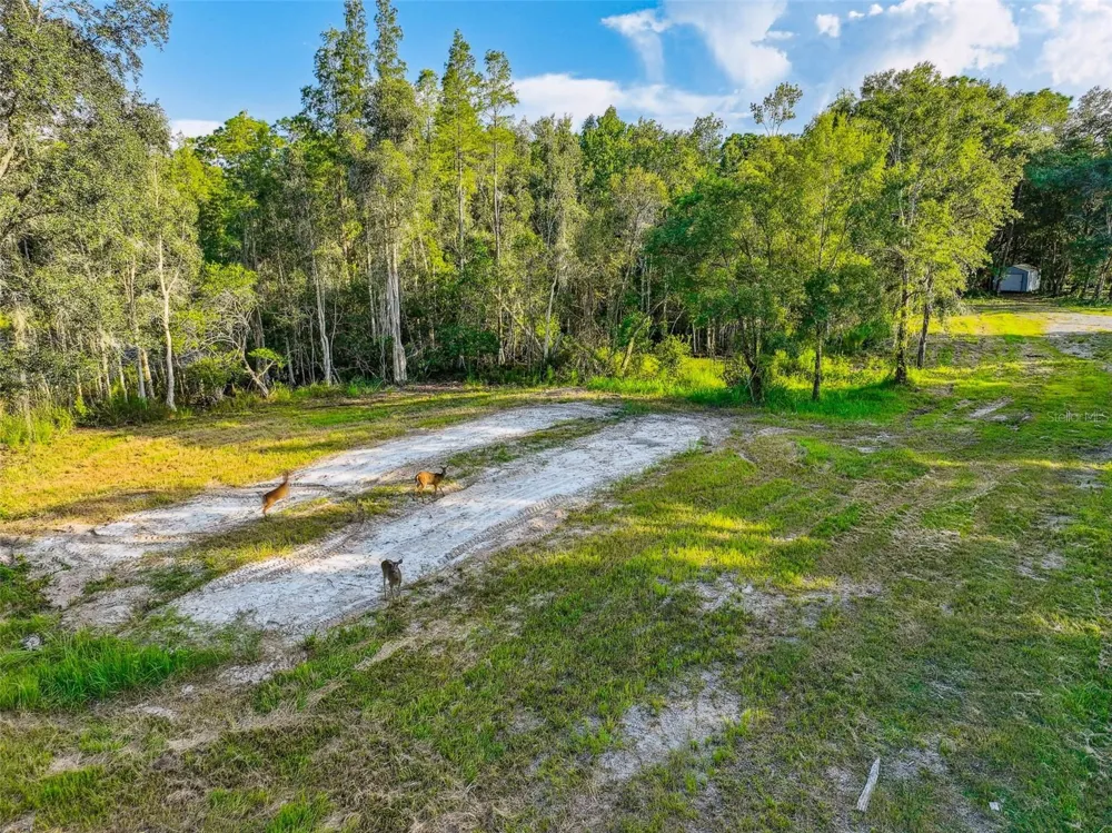 1758 LAND O LAKES BOULEVARD Lutz, FL 33549