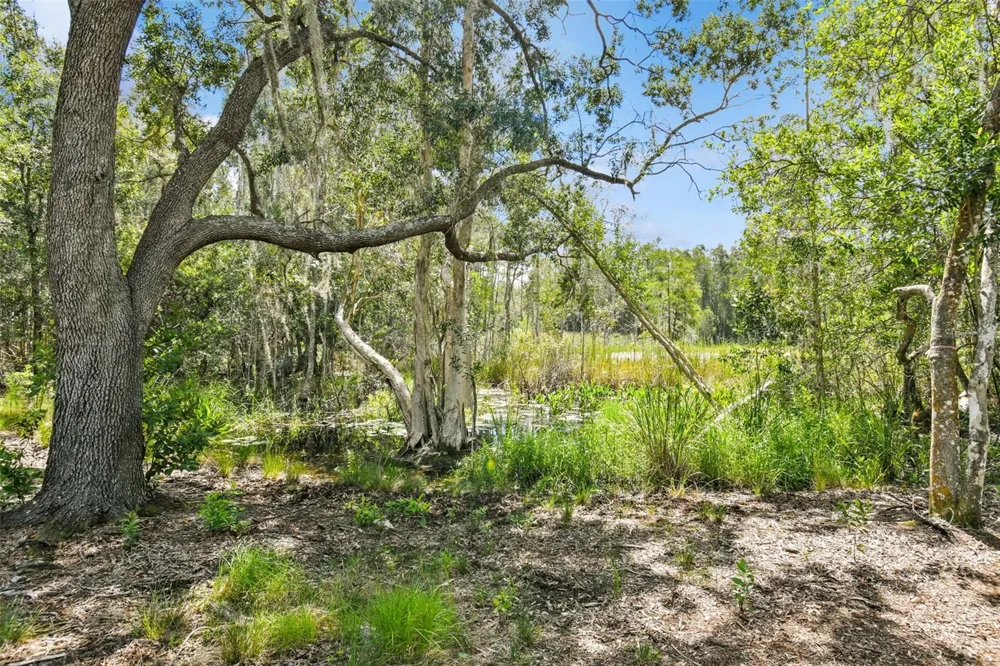 1758 LAND O LAKES BOULEVARD Lutz, FL 33549