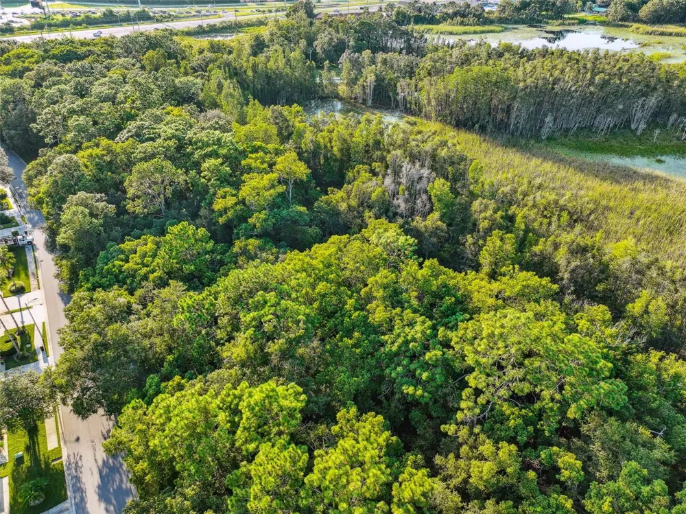 1758 LAND O LAKES BOULEVARD Lutz, FL 33549