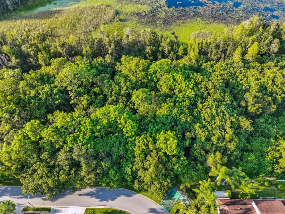 1758 LAND O LAKES BOULEVARD Lutz, FL 33549