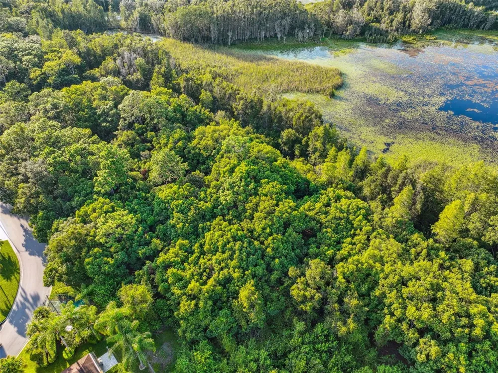 1758 LAND O LAKES BOULEVARD Lutz, FL 33549