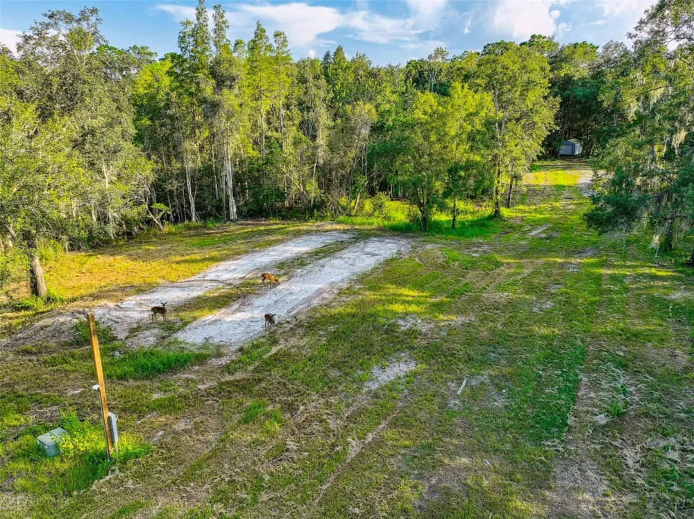 1758 LAND O LAKES BOULEVARD Lutz, FL 33549
