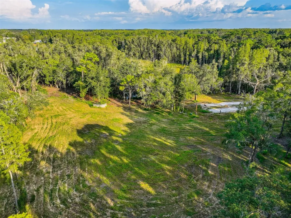 1758 LAND O LAKES BOULEVARD Lutz, FL 33549