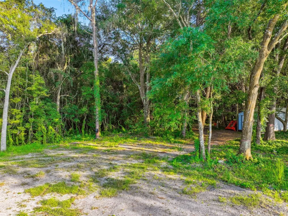 1758 LAND O LAKES BOULEVARD Lutz, FL 33549