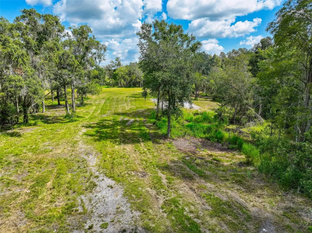 1758 LAND O LAKES BOULEVARD Lutz, FL 33549