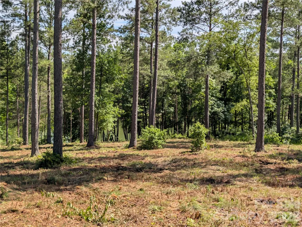 2134 Princeton Mountain Mountain #60 Connelly Springs, NC 28612