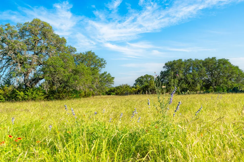 33 Feild Ranch Road Burnet, TX 78611