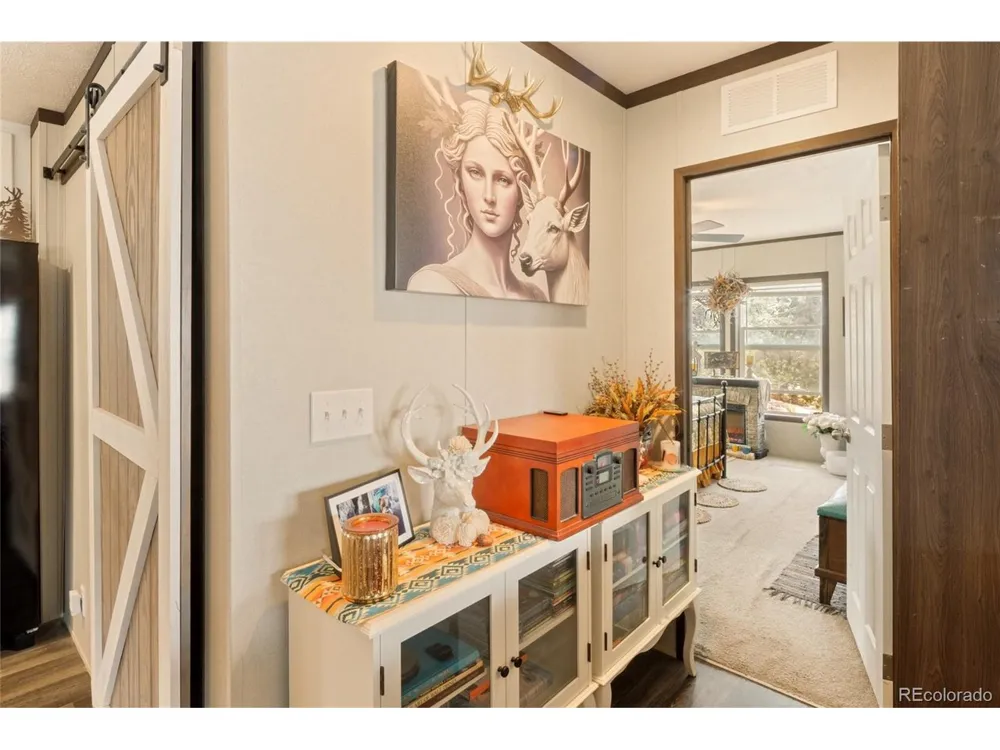 4247 Serene Way Crestone, CO 81131