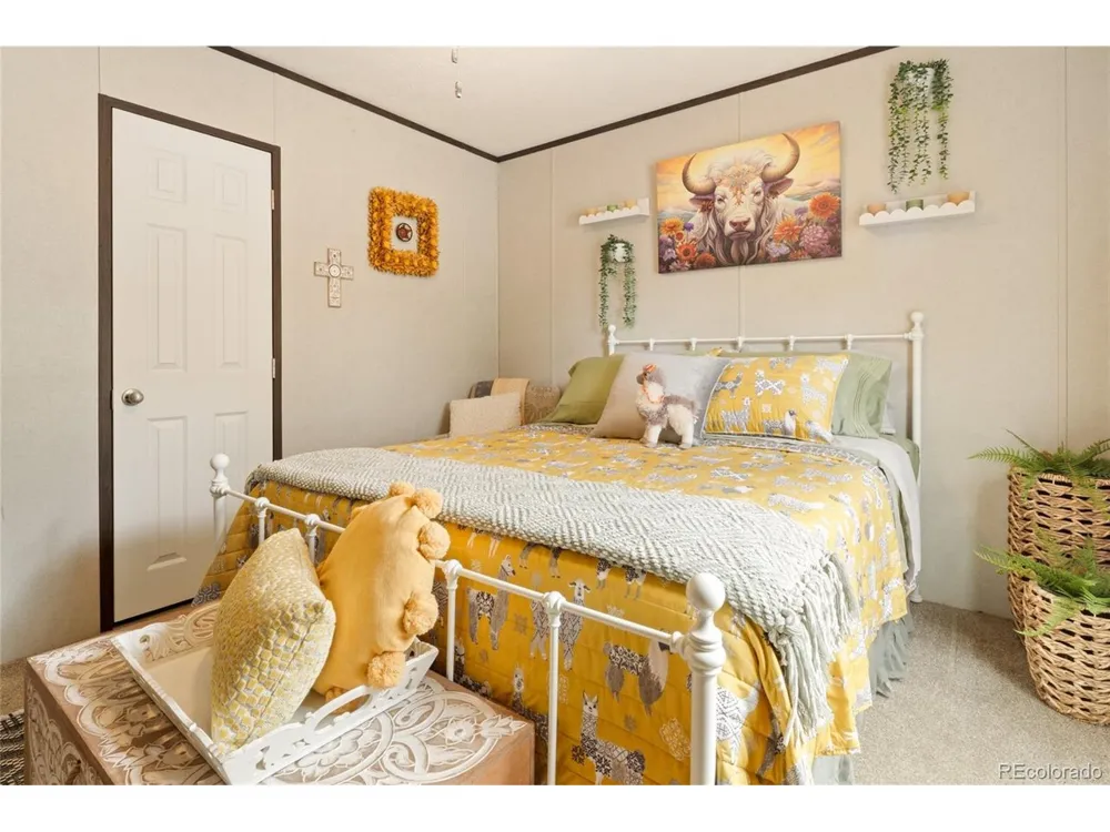 4247 Serene Way Crestone, CO 81131