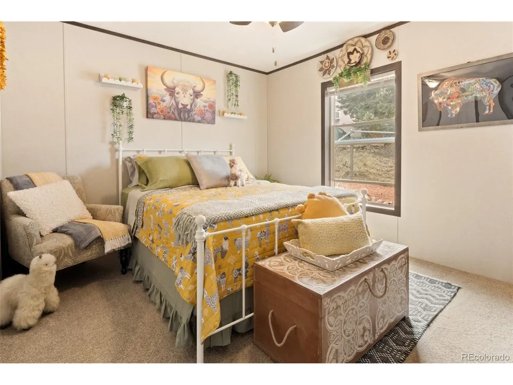 4247 Serene Way Crestone, CO 81131