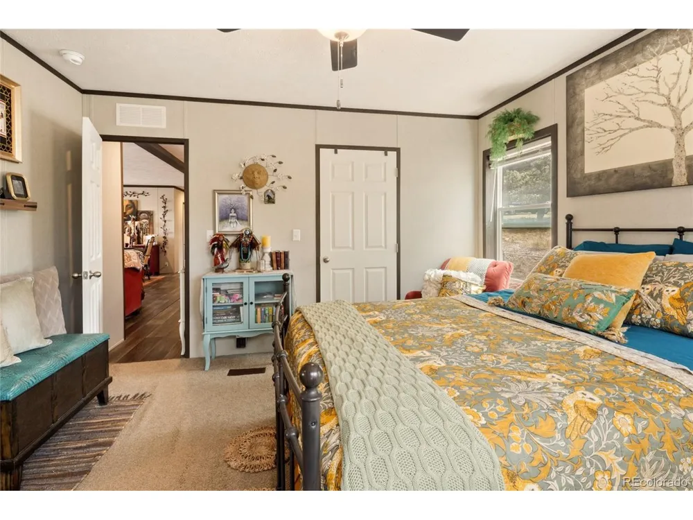 4247 Serene Way Crestone, CO 81131