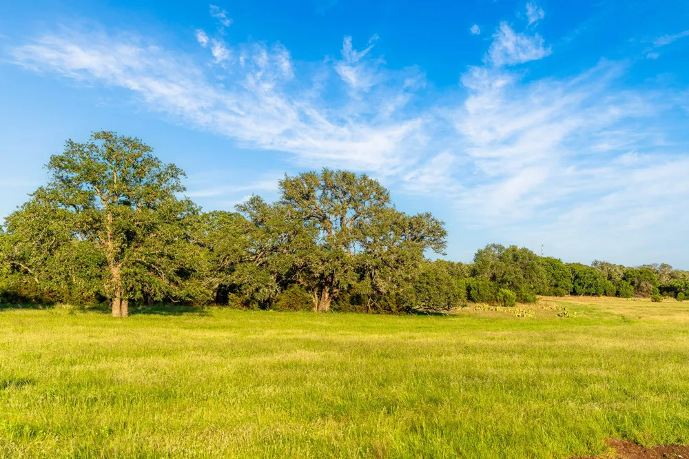 29 Feild Ranch Road Burnet, TX 78611