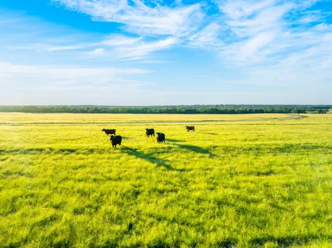 7 Feild Ranch Road