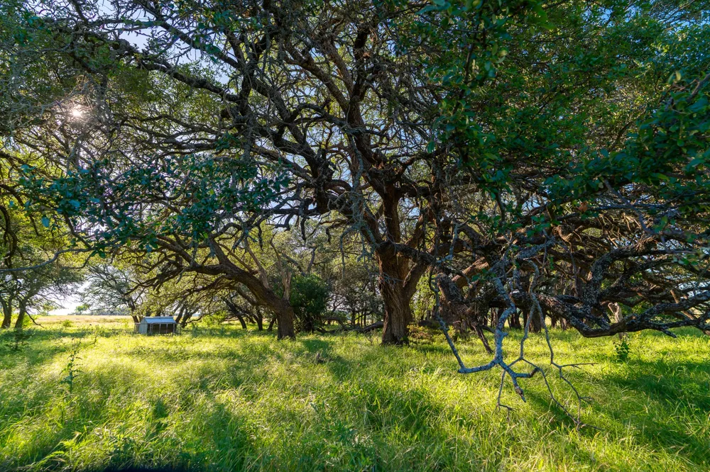 2 Feild Ranch Road Burnet, TX 78611