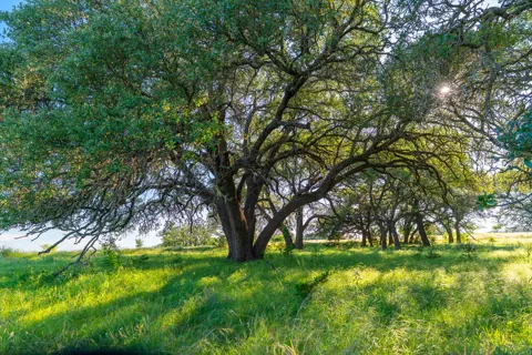 28 Feild Ranch Road