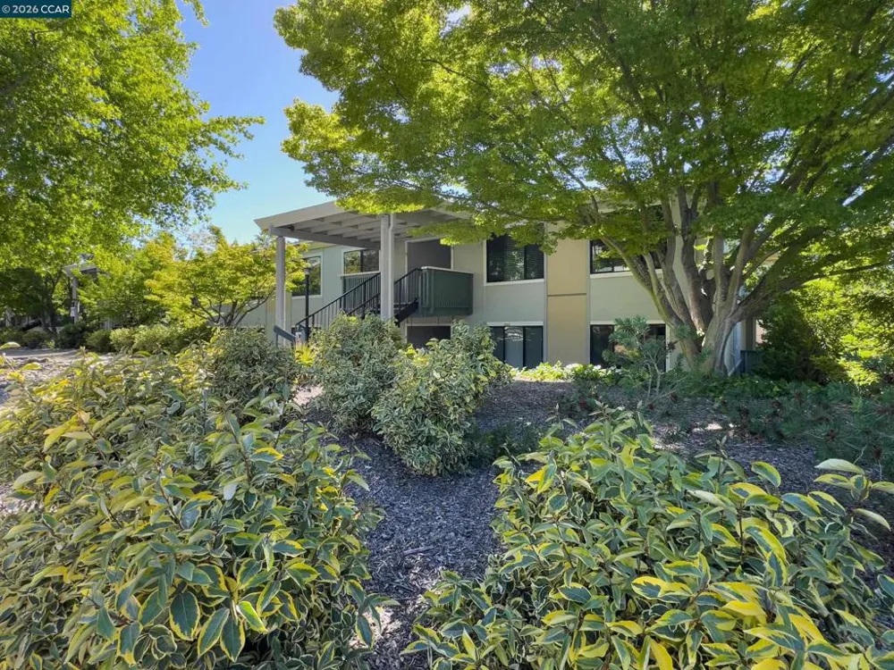 3349 Golden Rain Rd #15 Walnut Creek, CA 94595