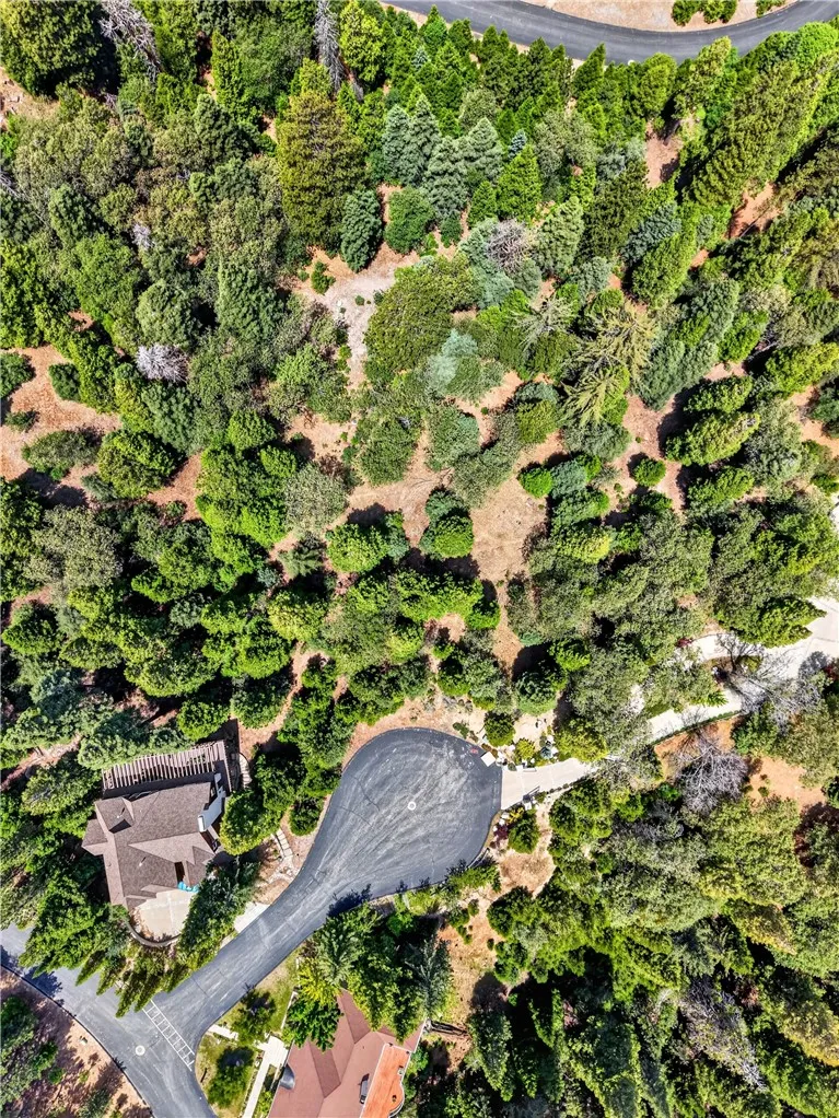 372 Redtail Hawk Lake Arrowhead, CA 92352