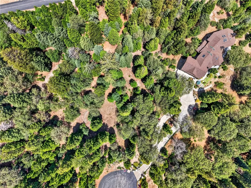 372 Redtail Hawk Lake Arrowhead, CA 92352
