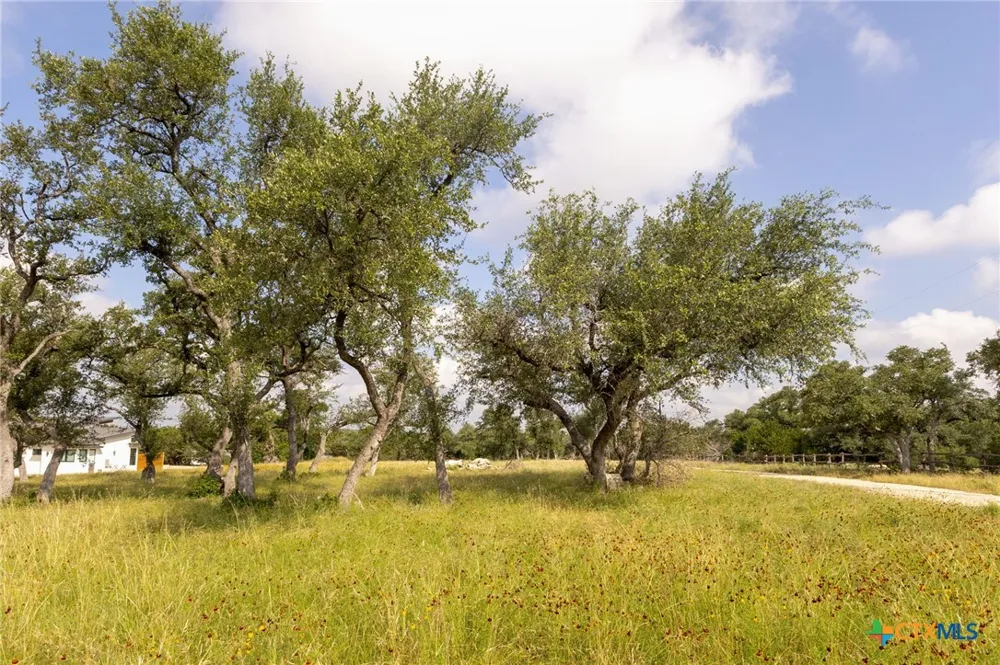 1907 Falconwood Drive San Marcos, TX 78666
